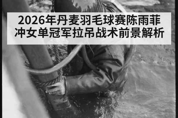 2026年丹麦羽毛球赛陈雨菲冲女单冠军拉吊战术前景解析